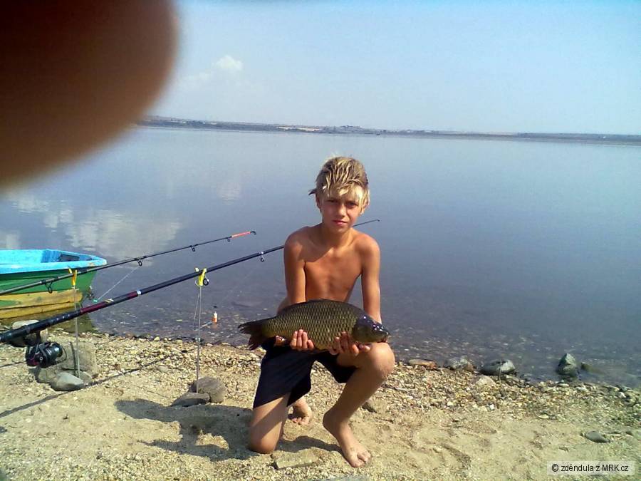 Kapřík