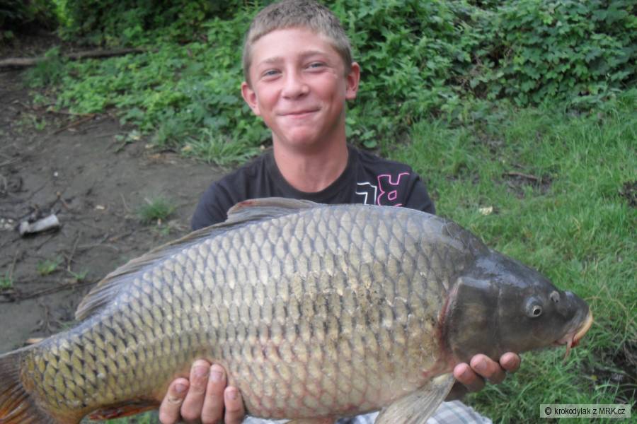 Mušov dyje7 kapr 67cm 6,33kg