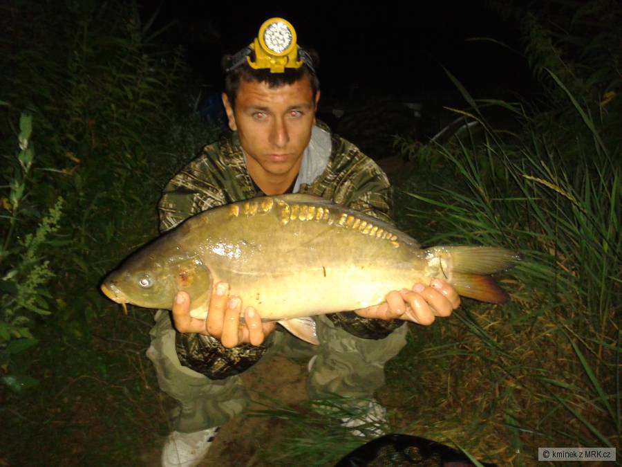 kapřík 52cm