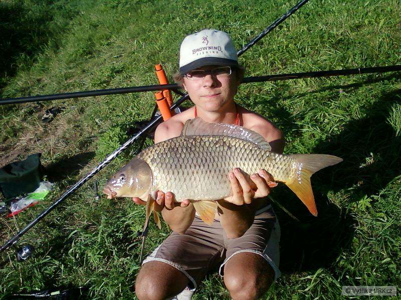 Kapřík