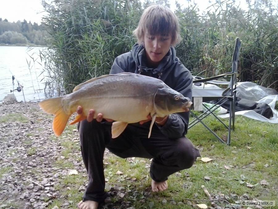 Další na boilies