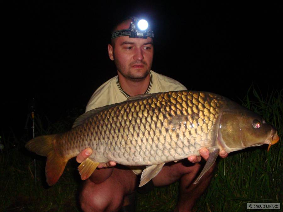 svazovka JC ,24h,kapr 68cm-vracen vode