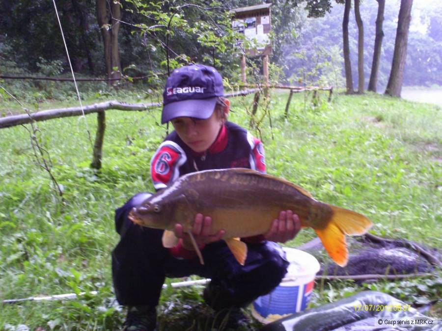 Kapr Obecný 62cm