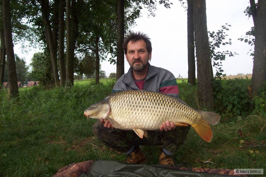 Kapr 10,50 kg