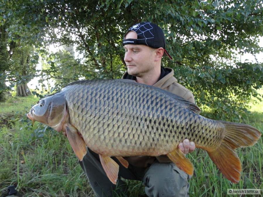 80cm,11kg