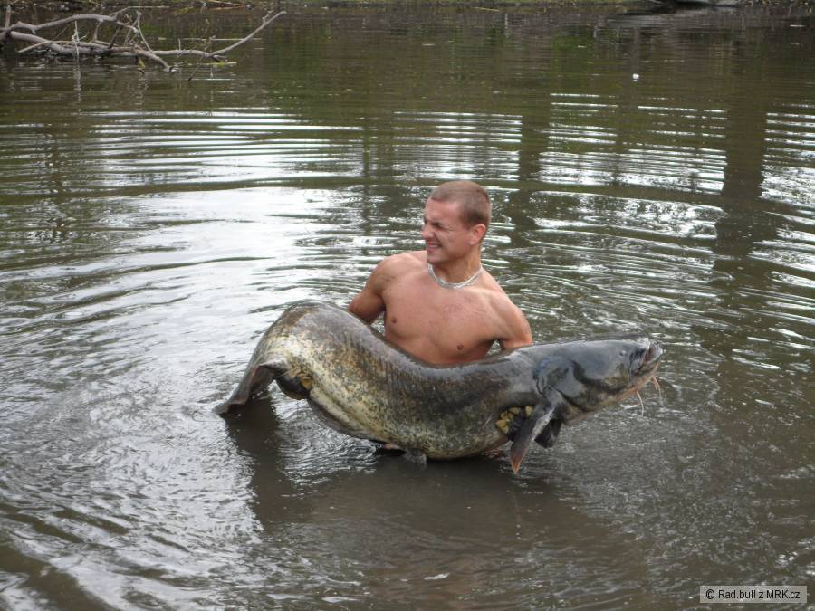 Sumec 223 cm.Svazova voda.
