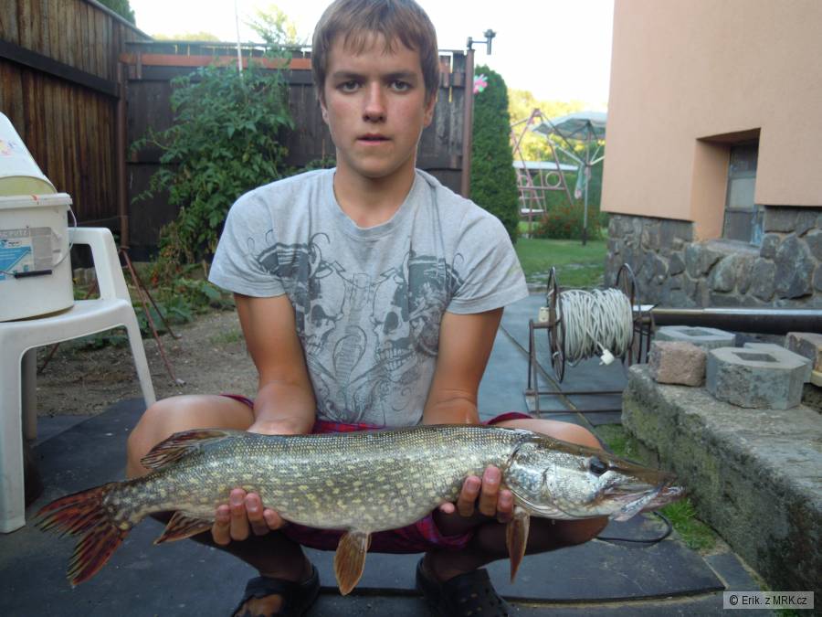 Štika 70cm