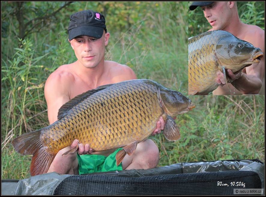 lkbaits