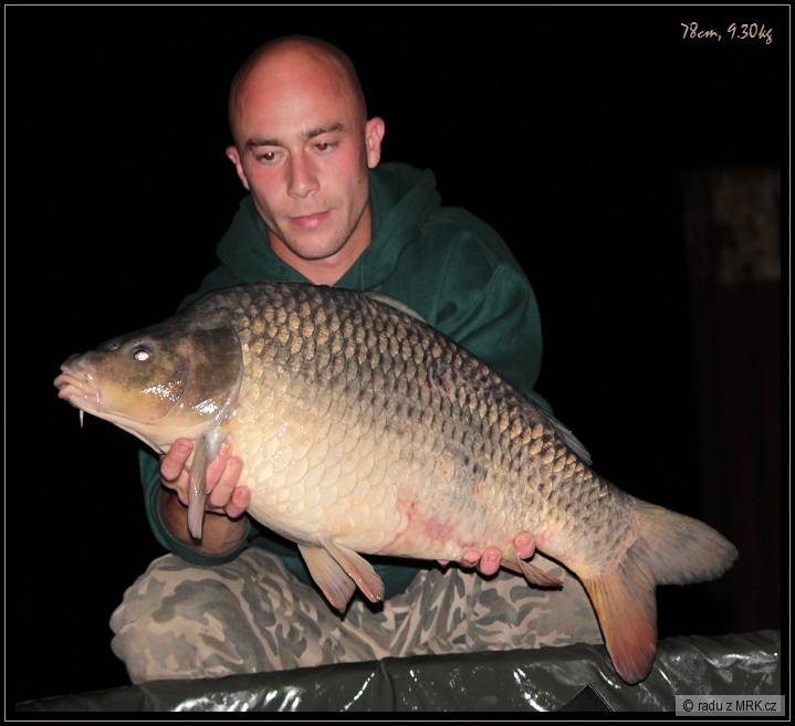 lkbaits