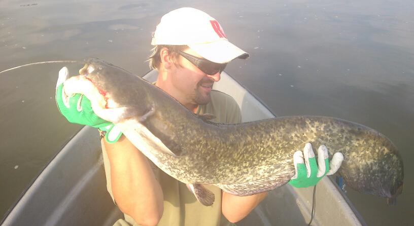 sumče 97