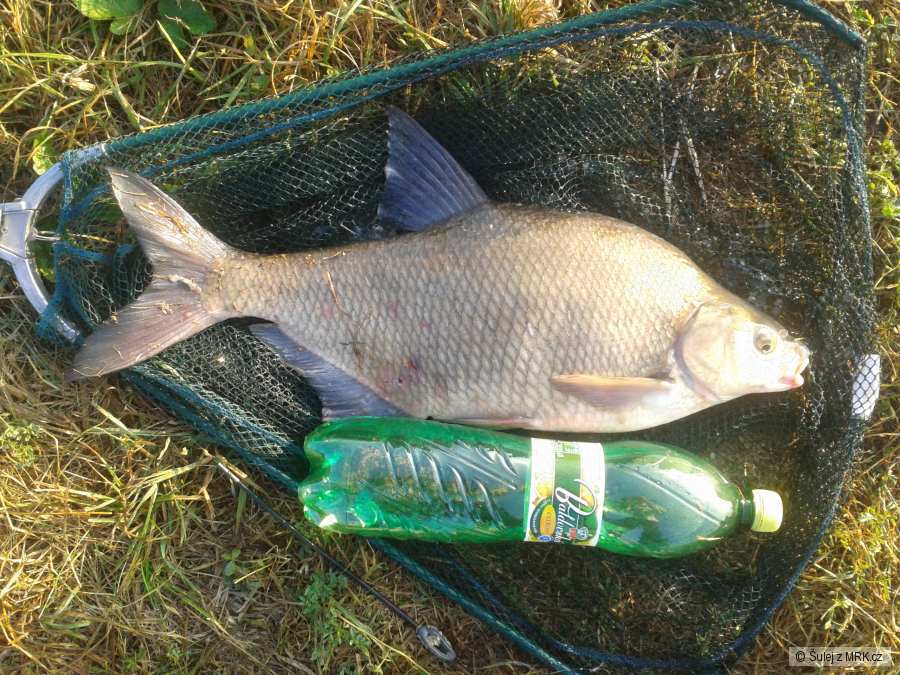 Plekáč 57 cm