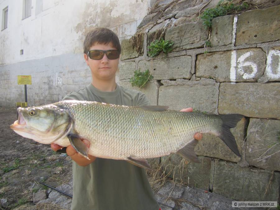 paráda z Labe