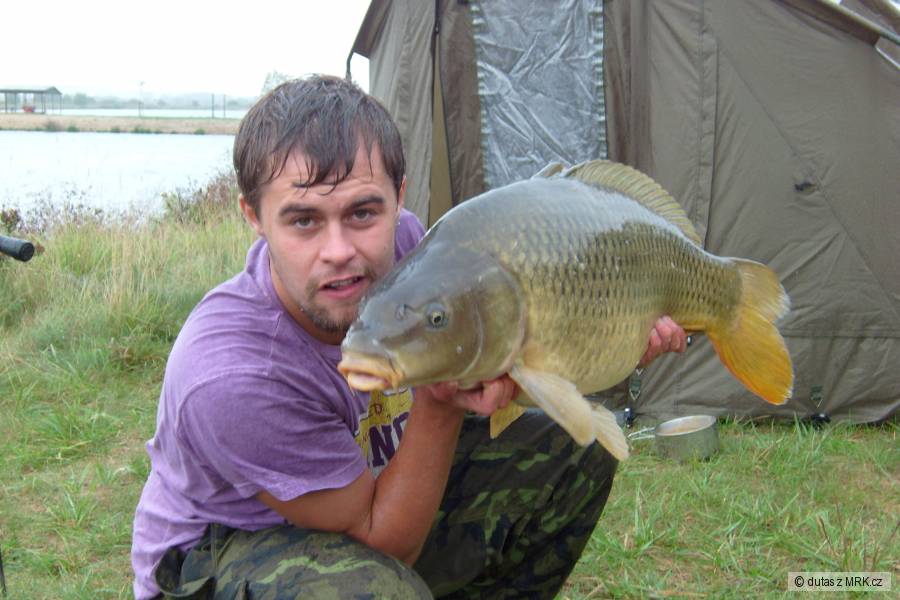 Kapr 87cm 16,5 kg