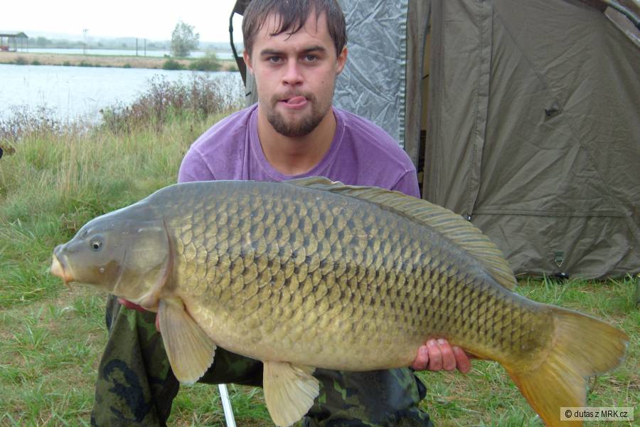 Kapr 87cm 16,5 kg