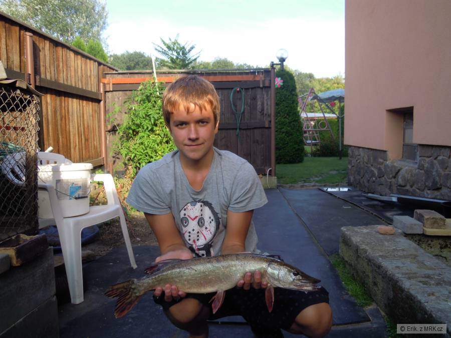 Štika 62cm