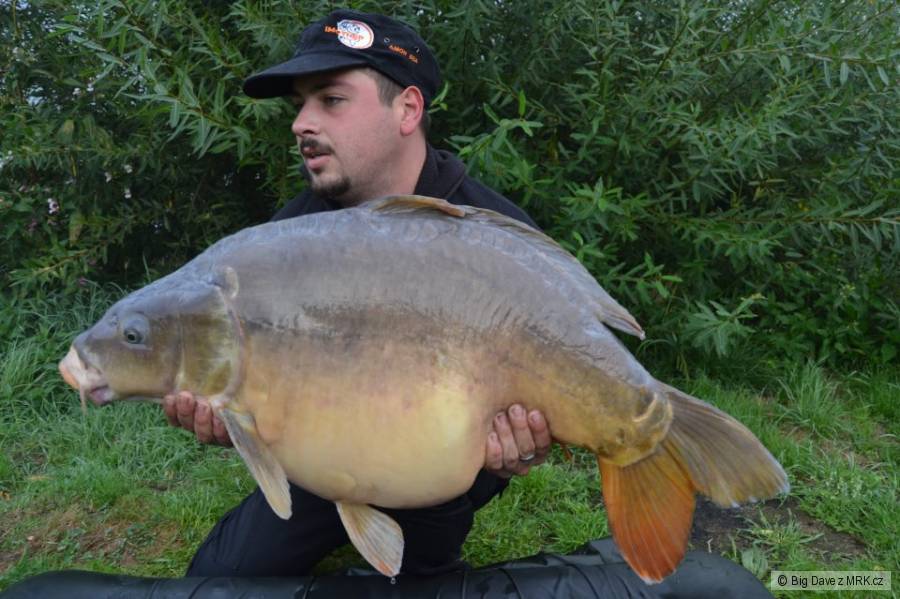 86cm 19.5Kg