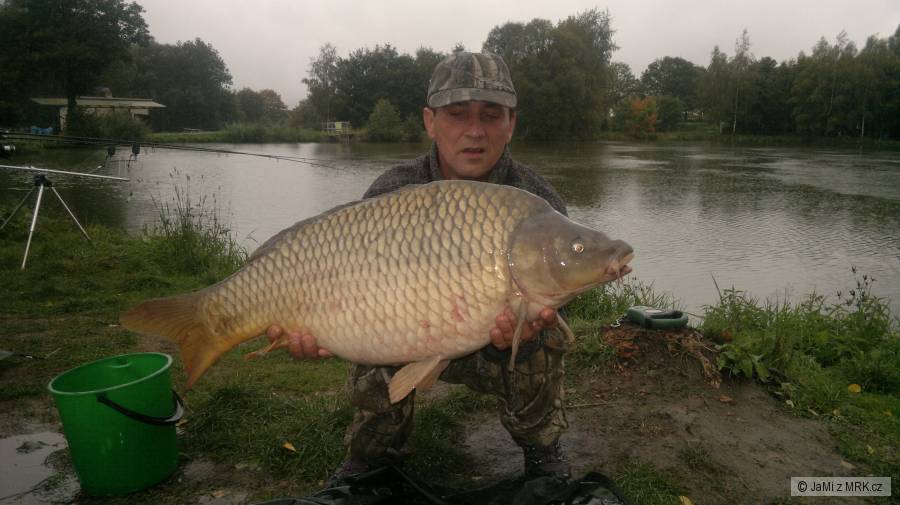 Kapr 82cm, 9,7Kg, Hallibut