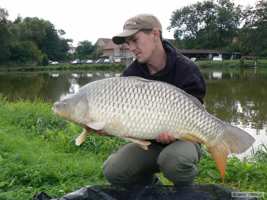 11kg