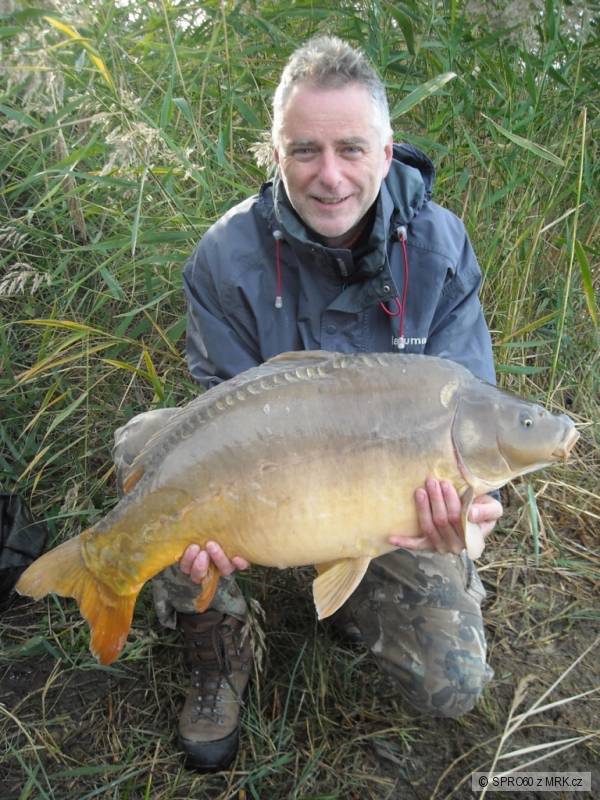 Kapr 85cm, 15kg