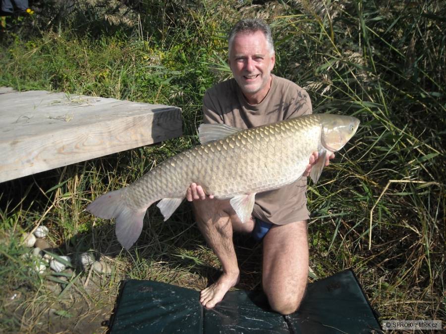 Amur 103cm * 14,5kg, Brugy Maďarsko