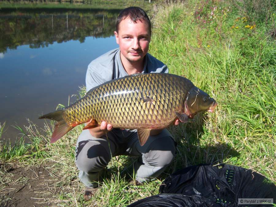 Labáček 69cm