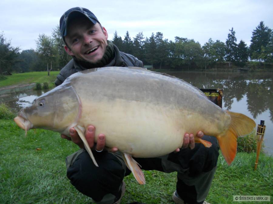 lysec 84cm a 14,70 kg