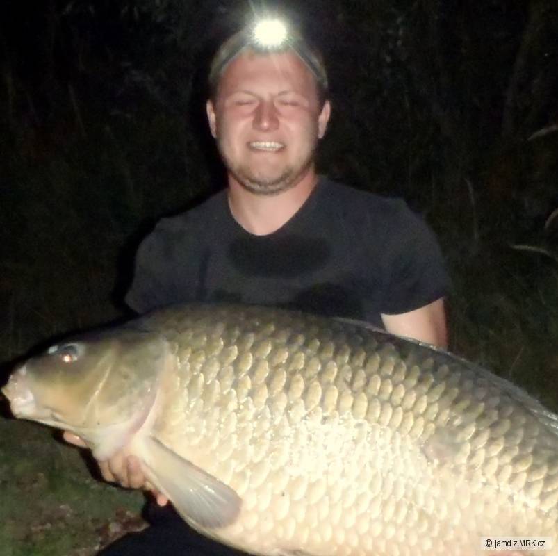 33,5 kg