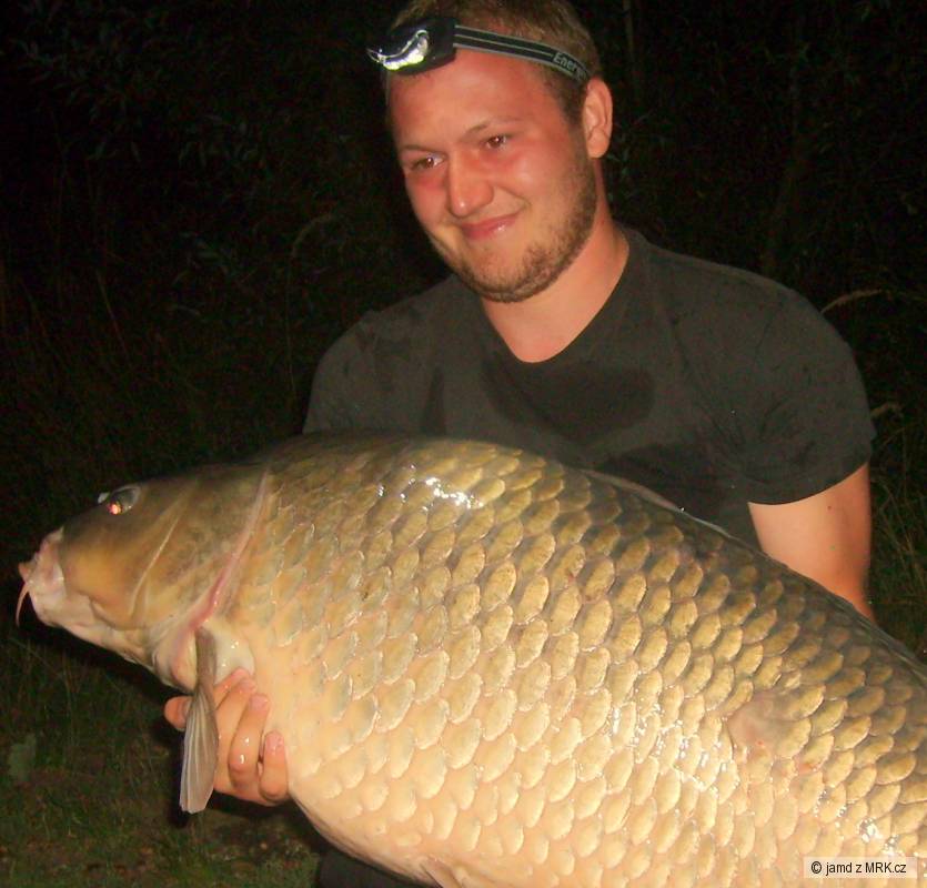 bigcarp
