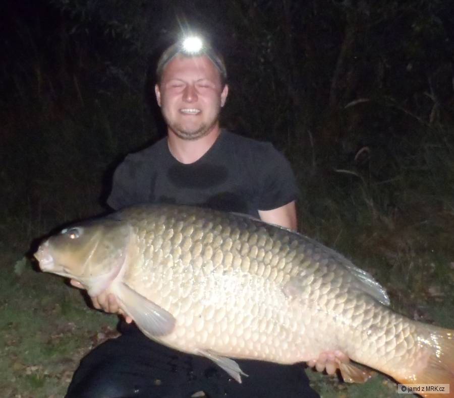 33,50kg
