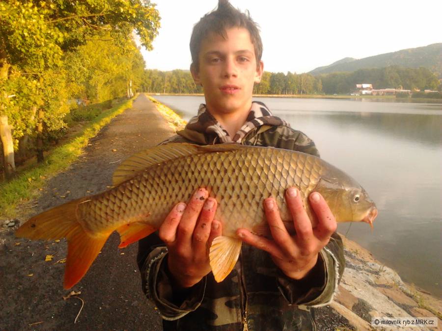 Veliký šupináč