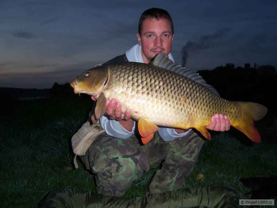 Labáček 80cm