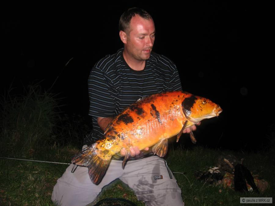 80cm scopex-játro