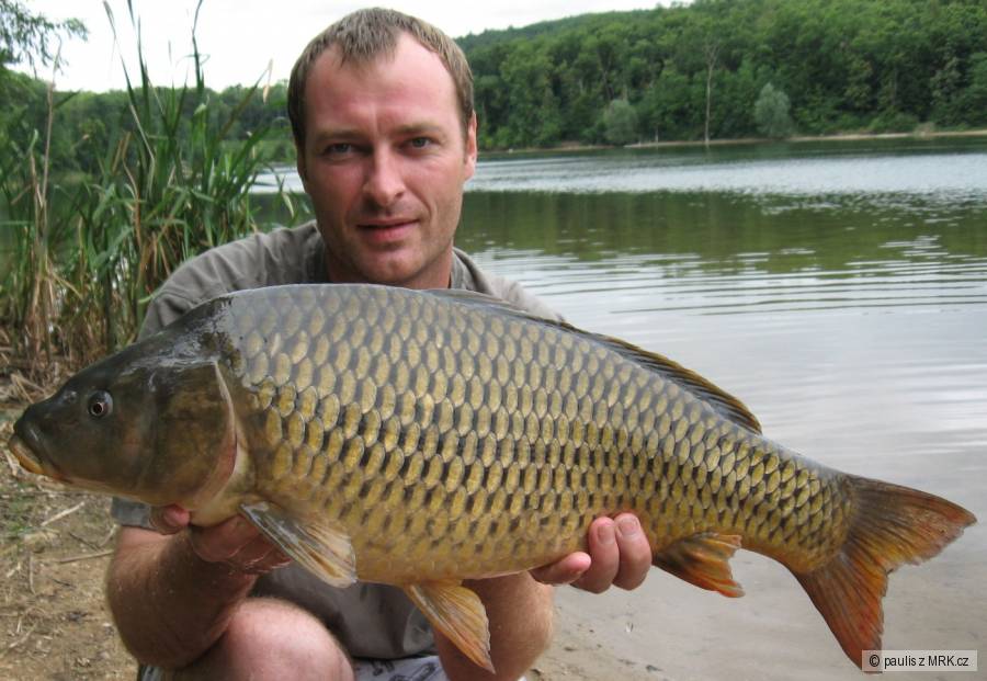72cm CCM hotovka