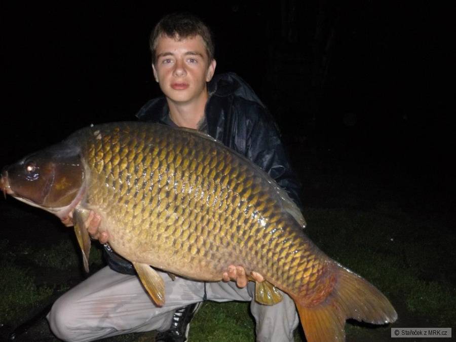 Kapr Obecný 90cm a 17kg
