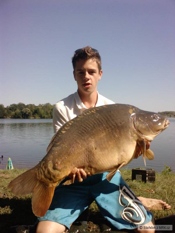 85cm 16kg