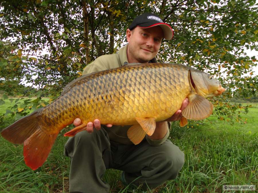 76cm,9kg
