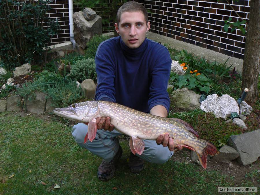 Štika, 79cm, 3700g
