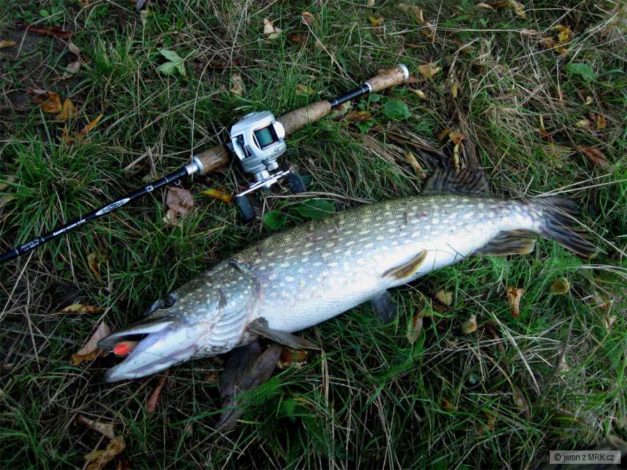 podzimni stika 75cm na slidera