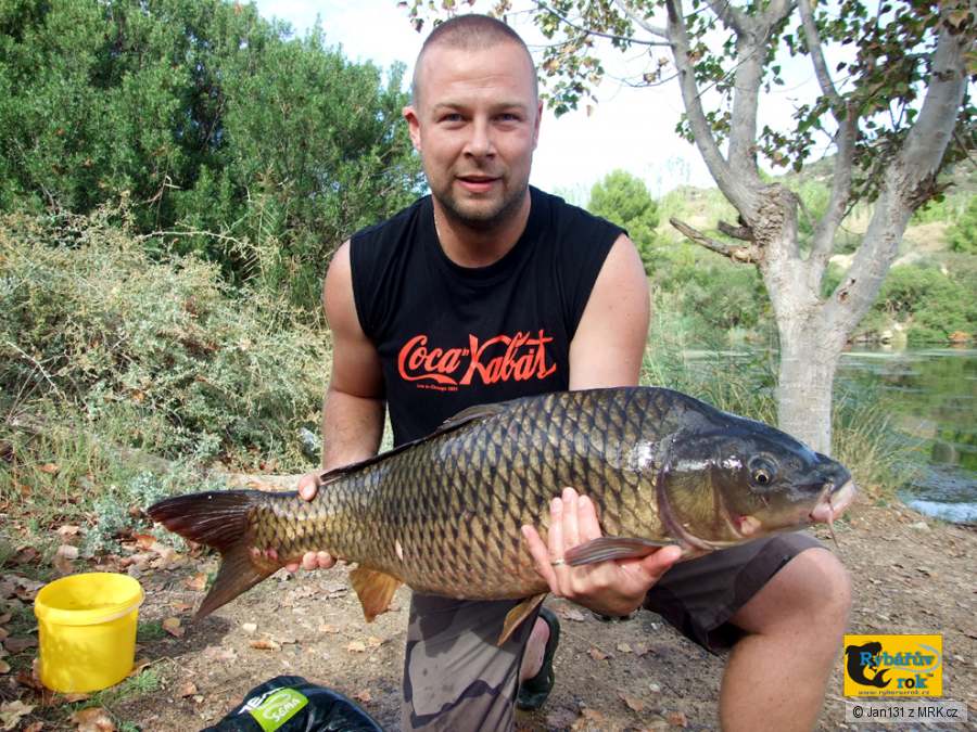 Kapr 94cm