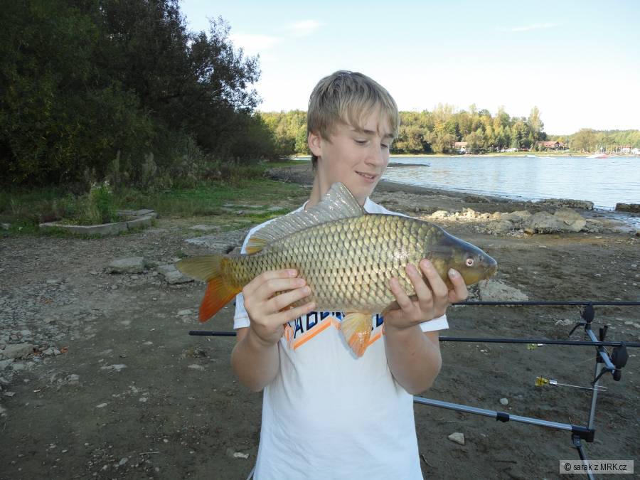 Kapřík 52cm