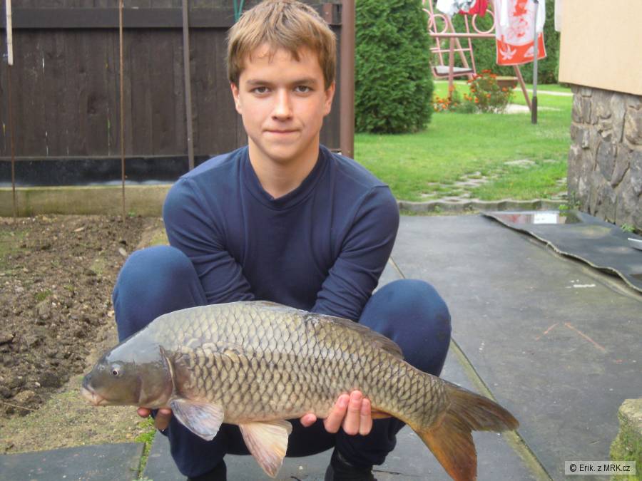 Kapr 63 cm