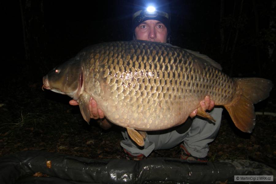 Nový osobáček, kapřík 20,5kg