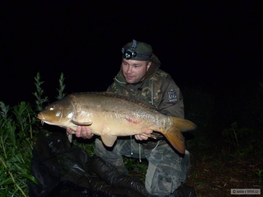 Carp, Dyje 2012