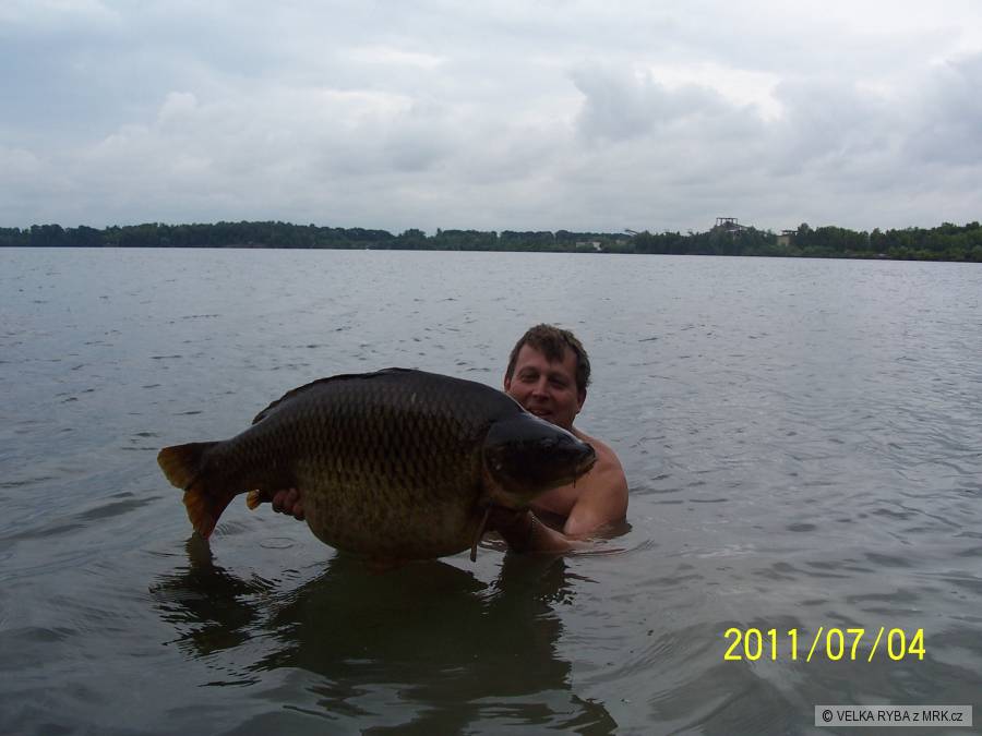 kapr 92cm,22kg,na šupináče krasavec