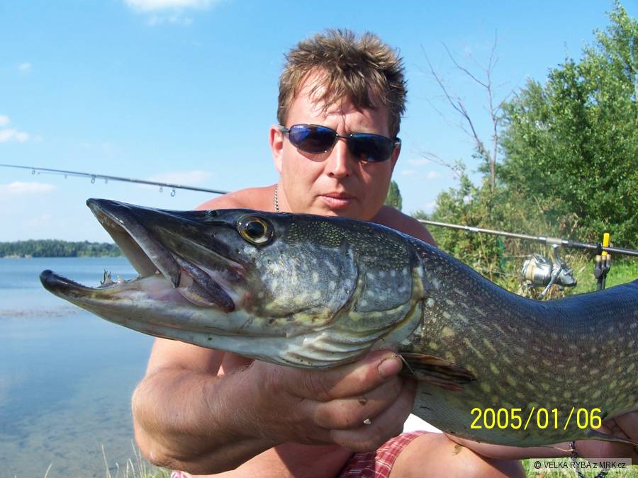 štika 82cm