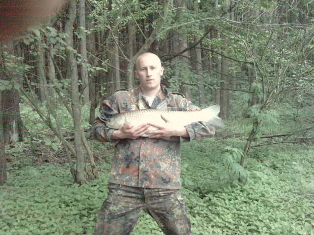 amur 85cm