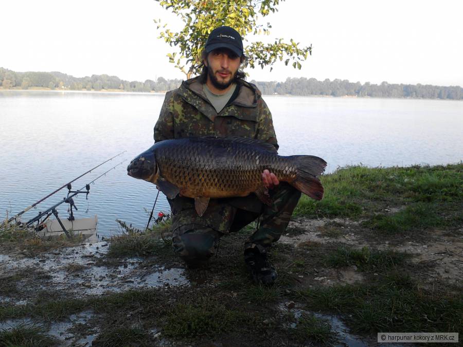 osobák 93cm 18kg T.J. Annin