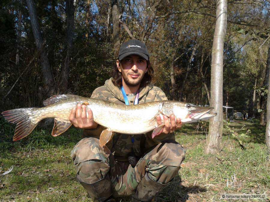 štička 95cm 6,2kg