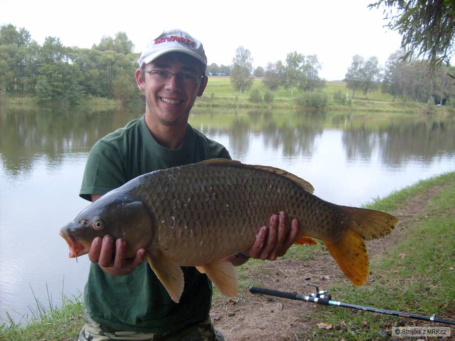 Kapr 72cm - rohlíkové boilies