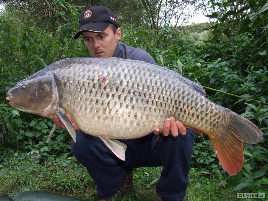 85/12,5